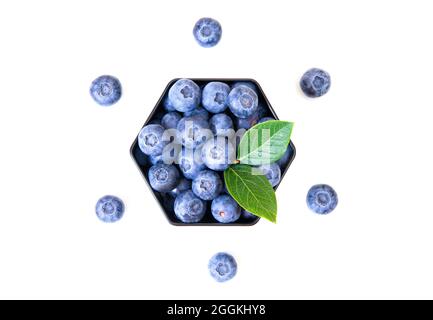 Heidelbeeren in einer Sechseck-Box mit grünen Blättern auf der Oberseite isoliert auf weiß. Kreative Dessertkomposition. Stockfoto