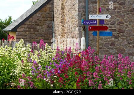 Farbenfrohe Sommerblumen blühen an einem Gartenzaun in Erquy, Frankreich, der Bretagne, Côtes d´Armor, Côte de Penthièvre Stockfoto