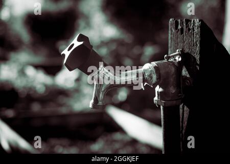 Ein Nahaufnahme monochromatisch Bild eines Wasserhahns auf einem Holzpfahl Stockfoto