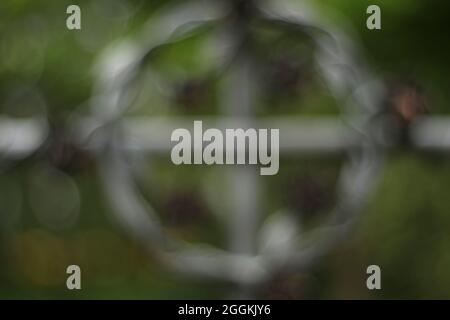 Formen und Linien / Kranz aus Dornen Stockfoto