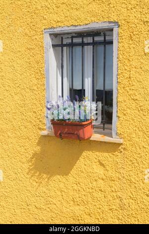 Traditionelles buntes altes Haus, Bogliasco, Ligurien, Italien, Europa Stockfoto