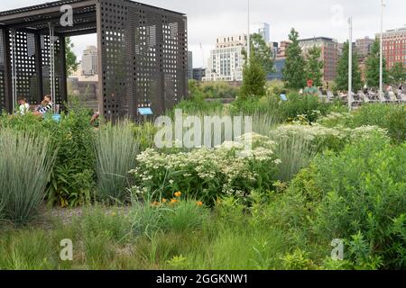 Pier 26 im Hudson River Park in Manhattan umfasst eine 2.5 Hektar große, ökologisch bepflanzte Erweiterung zum Hudson River. Stockfoto