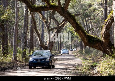 Botany Bay Plantation in Edisto Island, South Carolina. Stockfoto