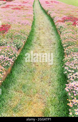 Weg durch blühende Blumen, Genua, Ligurien, Italien, Europa Stockfoto