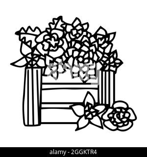 Sukkulenten in Holzkiste isoliert auf weiß. doodle Home Blumen. Handzeichnung von Zimmerpflanzen.. Stock Vektor