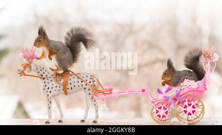 Eichhörnchen sitzen auf einem königlichen Pferd und Wagen Stockfoto