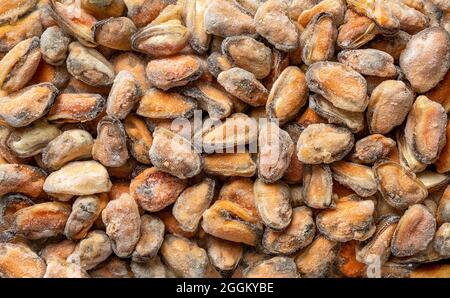 Gefrorenes, geschältes Muschelfleisch als Hintergrund für Meeresfrüchte-Rezepte. Iced gekochte Muscheln Textur für Omega-3 Protein gesunde Ernährung. Mediterrane Küche. Stockfoto