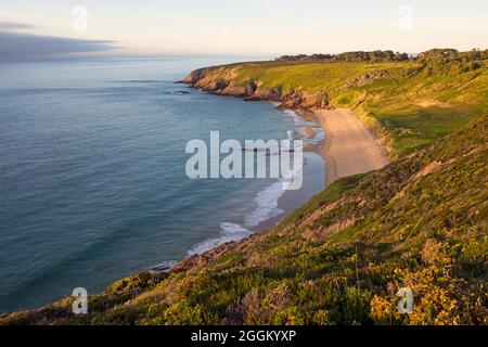 Bucht und Strand von Lourtuais in der Nähe von Erquy im Abendlicht, Frankreich, Bretagne, Département Côtes d´Armor, Côte de Penthièvre Stockfoto