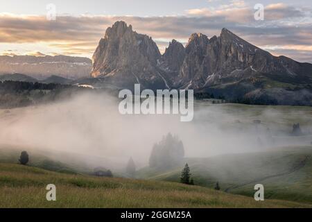 Seine Alm am Morgen mit Blick auf den Langkofel. Stockfoto