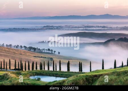 Typische toskanische Landschaft, morgens mit Nebel in den Tälern und sanften Hügeln der Crete Senesi, asciano, Provinz siena, toskana, italien Stockfoto