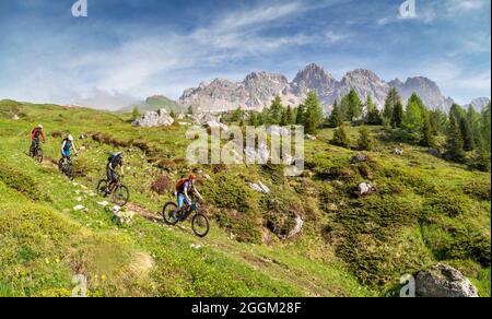 Dolomiten, Fahrradfahrer mit E-Bikes auf dem Bergweg am passo di san pellegrino, Soraga di Fassa, Provinz Trient, Trentino, Italien, Europa Stockfoto