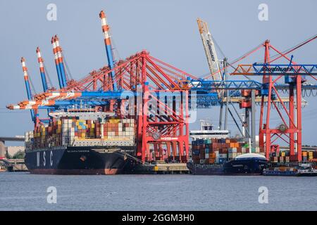 Hamburg, Deutschland - Containerschiffe im Hamburger Hafen liegt das Containerschiff MSC Maria Saveria der Reederei MSC am Eurogate-Containerterminal. Das 366 Meter lange Containerschiff Maria Saveria kann bis zu 12,400 Seecontainer transportieren. Der Hamburger Hafen ist der Endpunkt der maritimen Seidenstraße nach China. Stockfoto