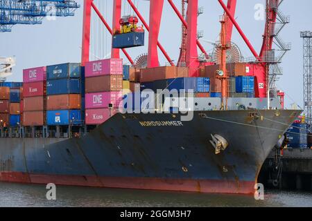 Hamburg, Deutschland - Containerschiff im Hamburger Hafen liegt das Containerschiff Nordsummer am Eurogate-Containerterminal. Das 247 Meter lange Containerschiff Nordsummer aus Portugal kann bis zu 3,500 Seecontainer transportieren. Der Hamburger Hafen ist der Endpunkt der maritimen Seidenstraße nach China. Stockfoto