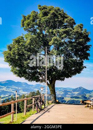 Gäbris, Alpen, Appenzell, Schweiz Stockfoto