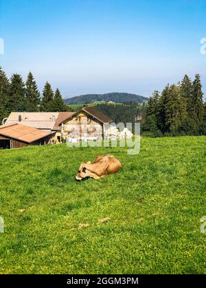 Gäbris, Alpen, Appenzell, Schweiz Stockfoto