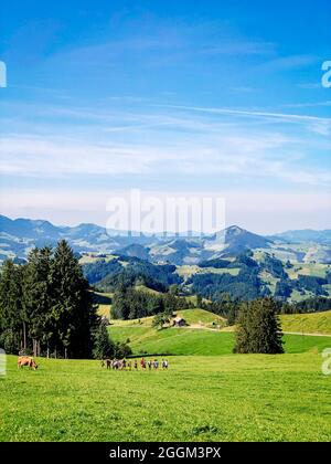 Gäbris, Alpen, Appenzell, Schweiz Stockfoto