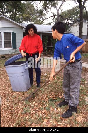 Austin Texas USA, 1993: Hispanische Großmutter hält Kompostbehälter, während Enkel Blätter in ihrem Hof reckt. MR EP-0471 Stonewall Texas USA, 1989 Junge Jungen mit Cowboy-Hüten sitzen auf der Weide einer langhornigen Rinderfarm im Texas Hill Country. HERR RE-0264, 65 ©Bob Daemmrich Stockfoto