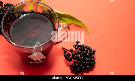 Holunderkräuter Tinktur. Medizinisches rotes Getränk aus Beeren. Stockfoto