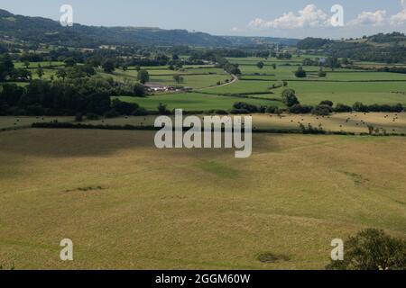 Das Towy Valley in der Nähe von Llandeilo, Wales Stockfoto