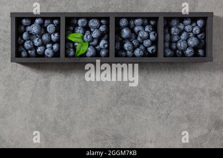Heidelbeeren in einer schwarzen Holzkiste auf grauem Hintergrund. Blaubeerrand. Draufsicht, flach liegend, Kopierbereich. Stockfoto