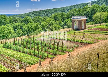 Der Kitchen Garden und der Pavillon im Monticello von Thomas Jefferson in Virginia. Stockfoto