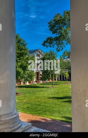 Der Ostpavillon, eingerahmt von Säulen der Rotunde an der University of Virginia in Charlottesville. Stockfoto