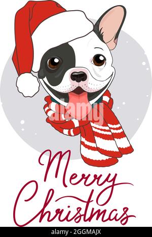 Niedliches Winterposter Frohe Weihnachten. Französische Bulldogge schwarz-weiß mit warmem Schal und weihnachtsmannhut. Vektordarstellung eines Hundes, eines Urlaubs. Neujahrskarte, Design für Textilien. Stock Vektor