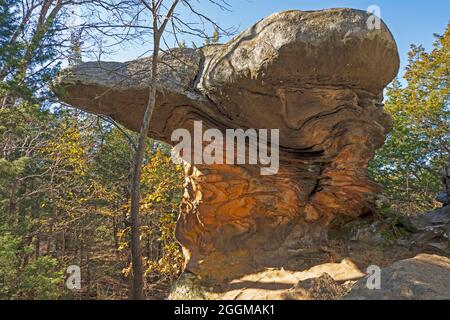 Bizarre Felsformationen im Wald im Erholungsgebiet Garden of the Gods in Illinois Stockfoto