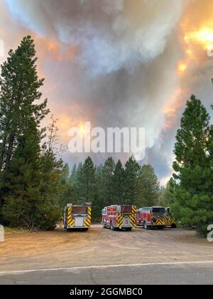 Das Dixie Fire ist ein Waldbrand, der Greenville, Kalifornien, bis Ende August 2021 in den kalifornischen Grafschaften Butte, Plumas und Tehama auf 844,082 Hektar niedergebrannt hat. Der Brand, der am 13. Juli 2021 begann, ist der größte aufgezeichnete Brandkomplex in der Geschichte Kaliforniens. Die Dürrebedingungen in Kalifornien haben die Feuersaison 2021 extrem gemacht. Stockfoto