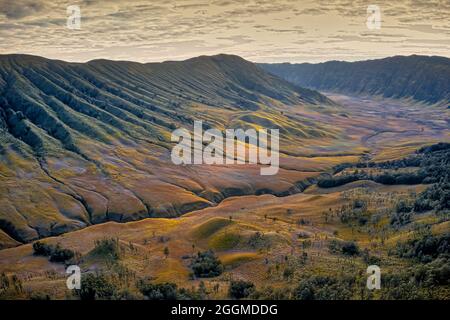 Eines der besten Dinge an Teletubbies Savanna ist, dass es in der Nähe des Bromo Mountain liegt. Tatsächlich befindet sie sich im östlichen Teil des Bromo Crate Stockfoto