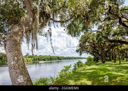 Florida La Belle, Caloosahatchee River, Bob Mason Waterfront Park, lebende Eichenbäume, spanischer Moos-Naturlandschaft Stockfoto