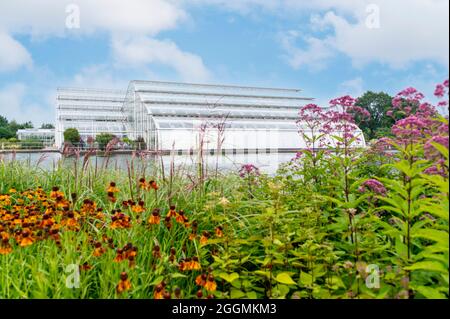 Das Glasshouse im Garten der Royal Horticultural Society Wisley. Stockfoto