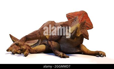 Protoceratops, ruhender Dinosaurier aus der späten Kreidezeit, isoliert auf weißem Hintergrund, 3d-Paläoart-Rendering Stockfoto