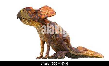 Protoceratops, Dinosaurier aus der späten Kreidezeit, isoliert sitzend mit Schatten auf weißem Hintergrund, 3d-Paläoart-Rendering Stockfoto