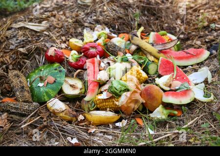 Hausmüll für Kompost von Obst und Gemüse im Garten. Stockfoto