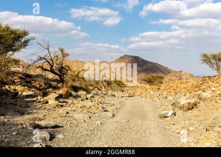 Kupferwanderweg, kurvige Schotterstraße durch das Wadi Ghargur-Flussbett und die felsigen Haschar-Berge aus Kalkstein in Hatta, Vereinigte Arabische Emirate. Stockfoto