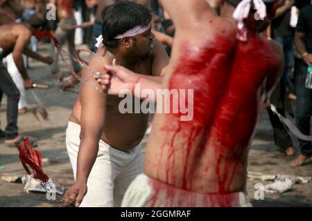 Indische schiitische Mulslims nehmen an einem Ritual der Selbstgeißelung Teil, während der Prozession zur Markierung von Ashura im Monat Muharram in Neu Delhi Stockfoto