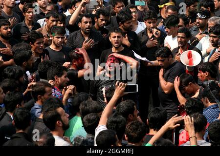 Indische schiitische Mulslims nehmen an einem Ritual der Selbstgeißelung Teil, während der Prozession zur Markierung von Ashura im Monat Muharram in Neu Delhi Stockfoto