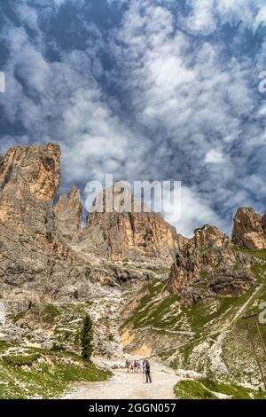 Wanderweg durch das Vajolet-Tal zu den Vajolet-Türmen, Rosengarten-Gruppe, Trentino, Italien Stockfoto