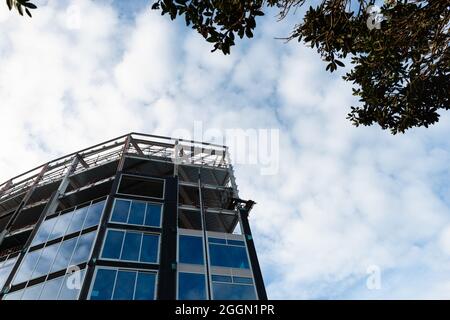 Apartmentgebäude im Bau, eingerahmt von Pohutukawa-Baumblättern. Blauer Himmel mit weißen Wolken. Stockfoto