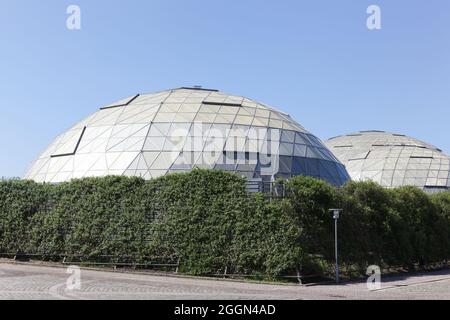 Randers, Dänemark - 5. Mai 2018: Der Randers Tropical Zoo ist ein Indoor-Zoo in Randers, Dänemark Stockfoto