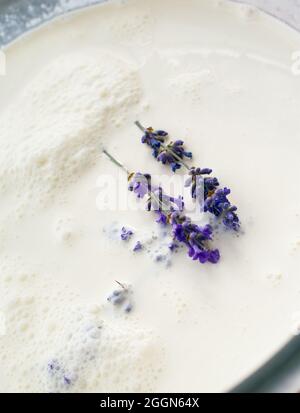 Zwei Zweige frischen Lavendels auf einer Vanillecreme Stockfoto