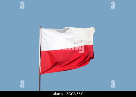 Polnische Flagge auf Fahnenmast auf blauem Himmel Hintergrund fliegen Stockfoto