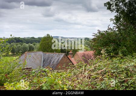 Blick auf einige Hausdächer durch Bäume und Laub an einem bewölkten Tag, Spetisbury, Dorset, England Stockfoto