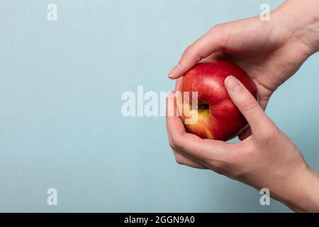 Weibliche Hände halten und bieten einen frischen roten Apfel auf einem blauen Studio-Hintergrund, Copy Space. Erntekonzept. Stockfoto