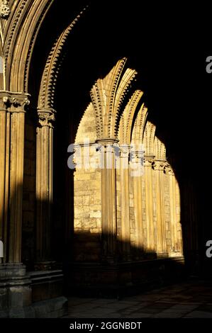 Südeingang - Cathedral Church of the Blessed Virgin Mary of Lincoln Stockfoto