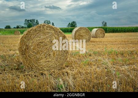 Runde Heuballen im Feld und wolkig Stockfoto