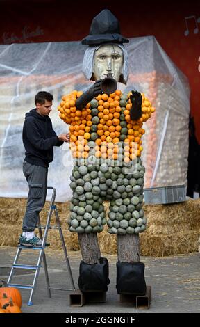 Klaistow, Deutschland. September 2021. Mitarbeiter Paul arbeitet vor der Eröffnung der Kürbis-Ausstellung auf dem Gelände der Spargel- und Erlebnisfarm an einer Figur des Minnesängers. Die Ausstellung öffnet für Besucher am 4. September und läuft bis zum 7. November 2021. Bei der größten Kürbisveranstaltung in der Region geht es in diesem Jahr um „Musik“. Insgesamt werden mehr als 500 verschiedene Kürbissorten ausgestellt. Quelle: Monika Skolimowska/dpa-Zentralbild/dpa/Alamy Live News Stockfoto