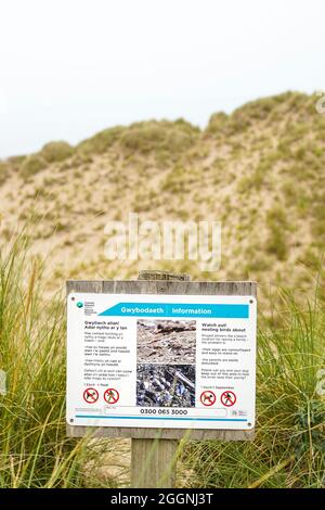 Informationstafel in den Küstensanddünen, die Touristen auf ihrem Spaziergang zum Badestrand, Wales, Großbritannien, vor brütenden Vögeln warnen sollen. Stockfoto