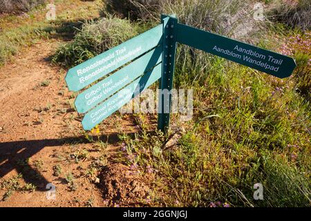 Wegweiser, Hantam National Botanical Gardens Stockfoto